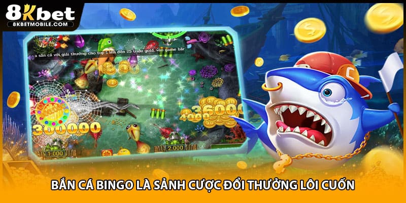 Bắn cá bingo là sảnh cược đổi thưởng lôi cuốn